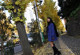 Marina Shiina - Daci Nxx Video P5 No.d8c59b